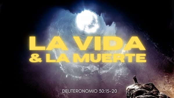 La Vida Y La Muerte